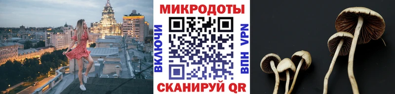 купить закладку  Вяземский  Псилоцибиновые грибы мухоморы 